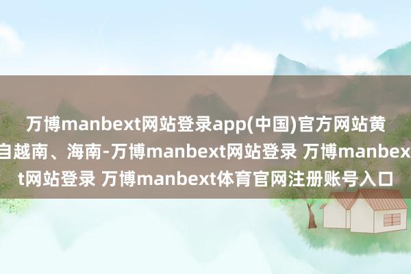 萬博manbext網(wǎng)站登錄app(中國)官方網(wǎng)站黃生的檔口的芒果主要產(chǎn)自越南、海南-萬博manbext網(wǎng)站登錄 萬博manbext體育官網(wǎng)注冊賬號入口